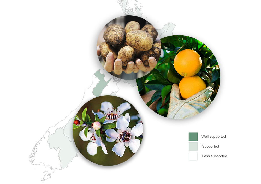 Tupu Casestudy Fact Sheet Image 4