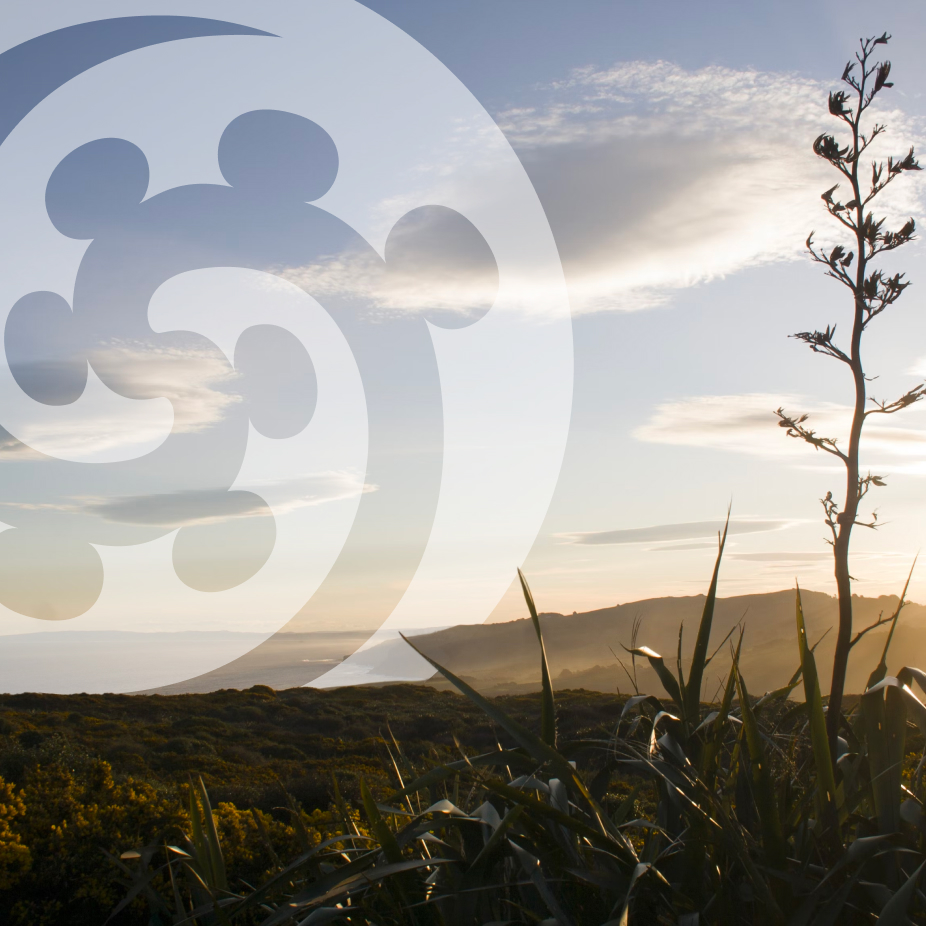 Matai Whenua Thumbnail