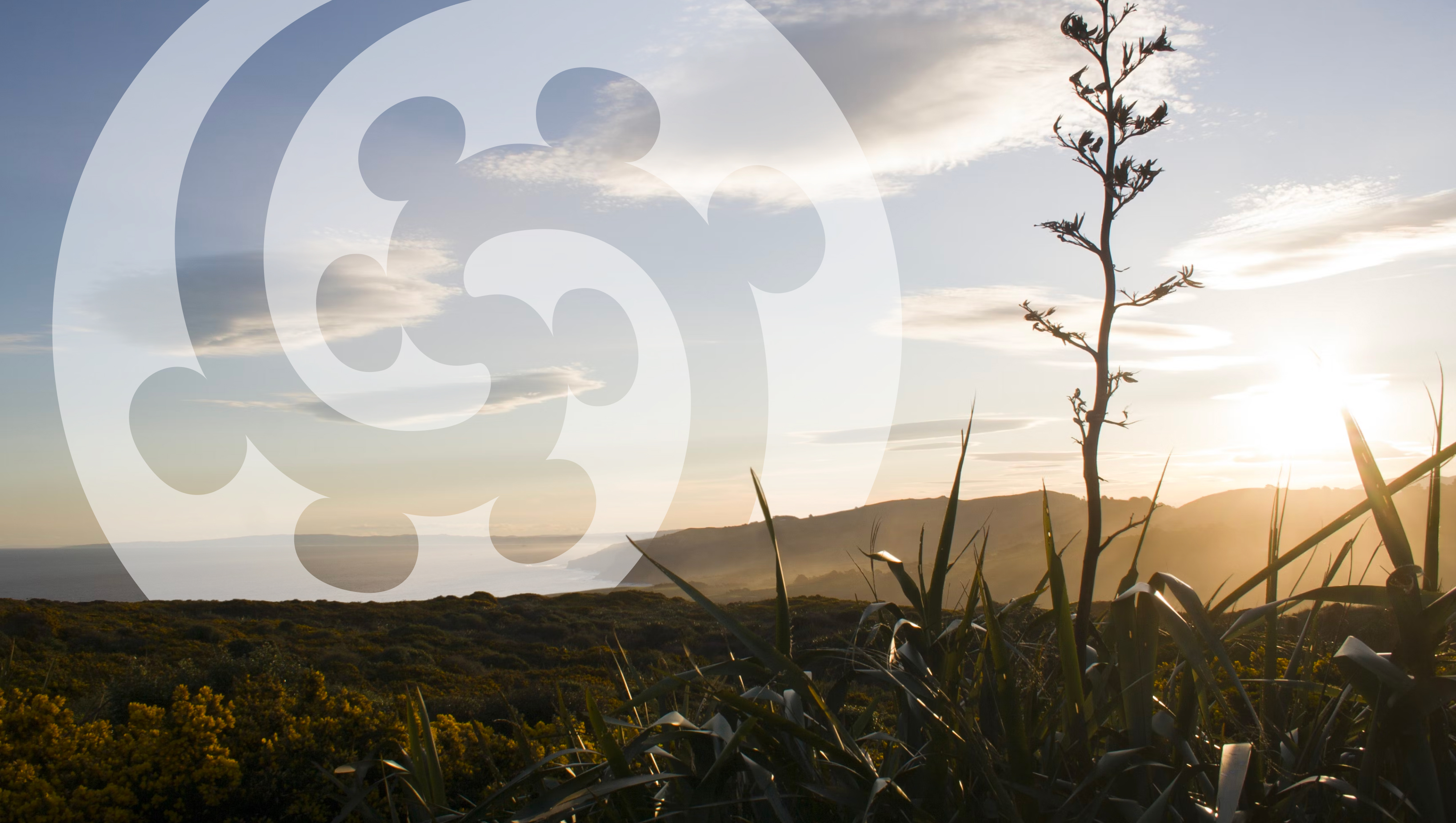 Matai Whenua Desktop