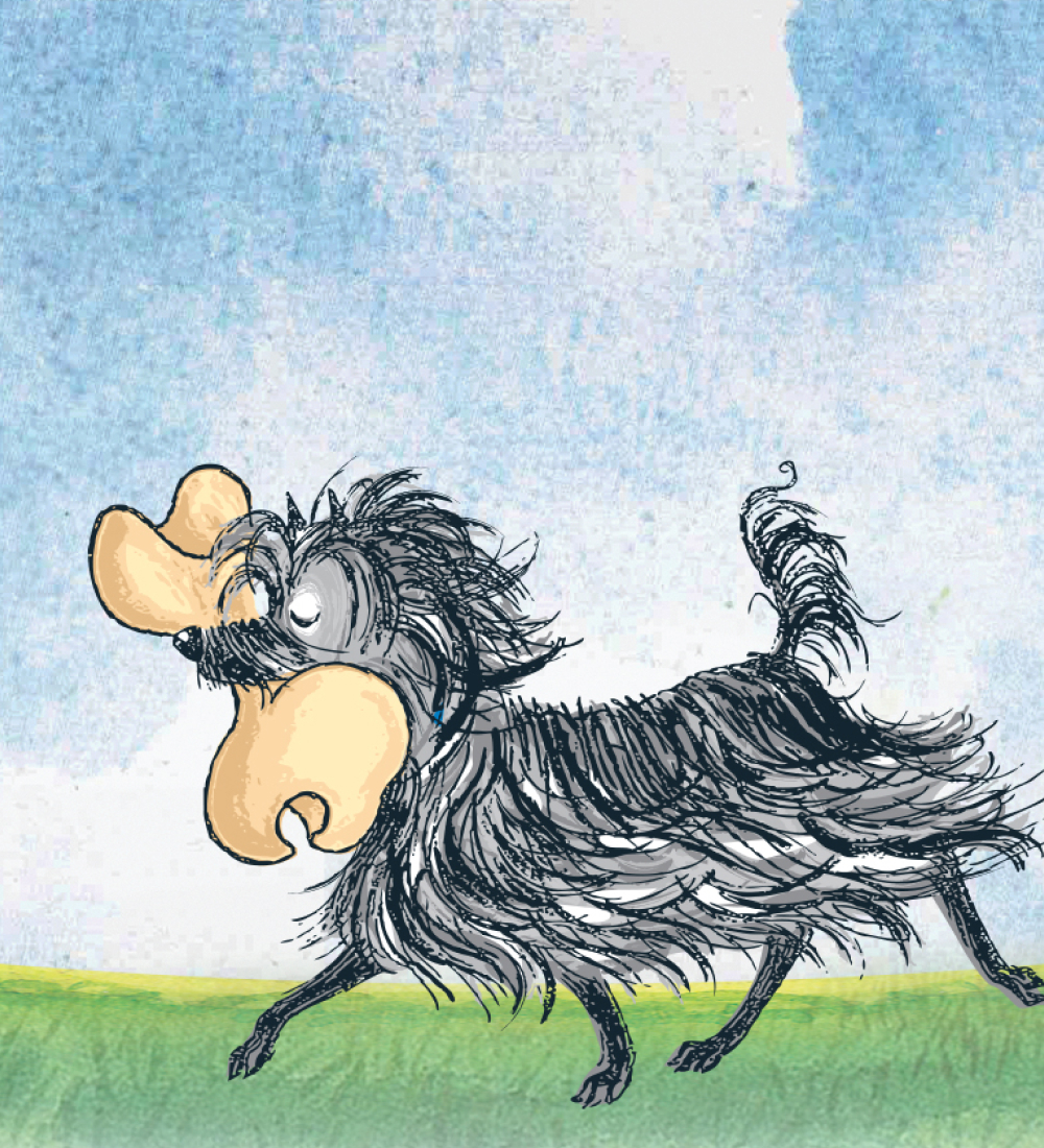 Thumbnail image. An illustration of Hairy Maclary, a scruffy dog troting across a grassy field, proudly carrying an oversized bone in its mouth.