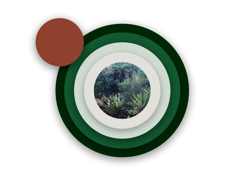 Tupu Casestudy Brand Colours 5