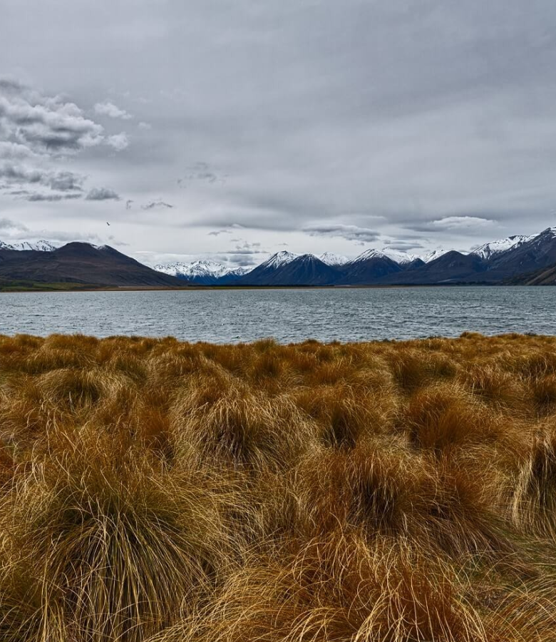 Ka Huru Manu – Thumbnail