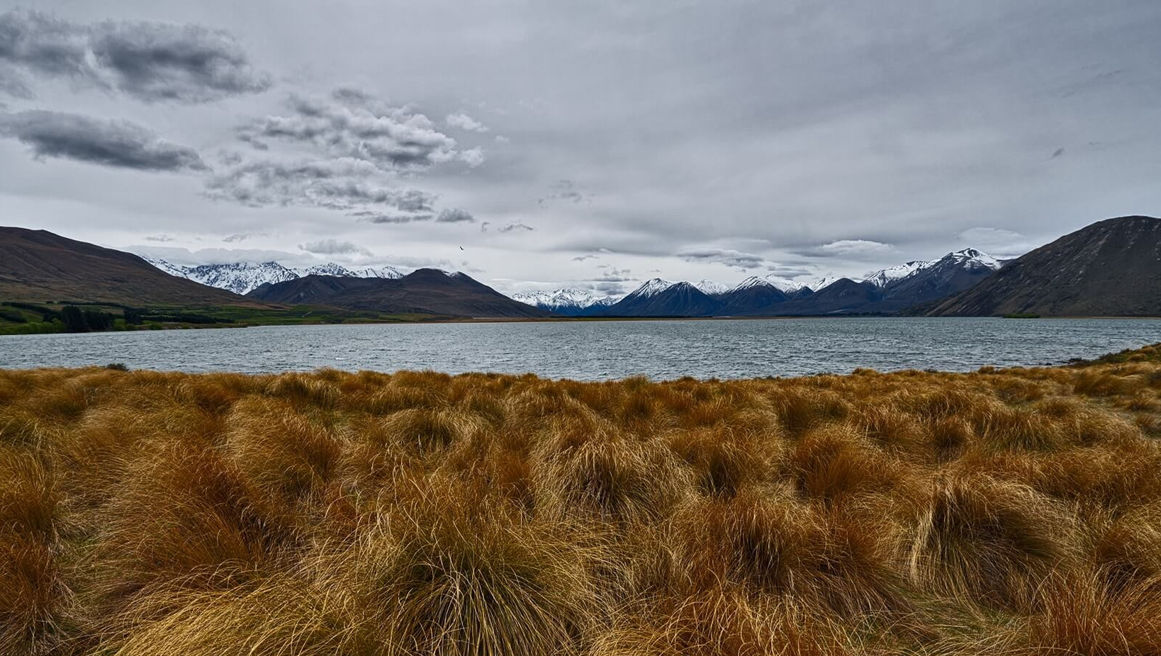 Ngai Tahu Background