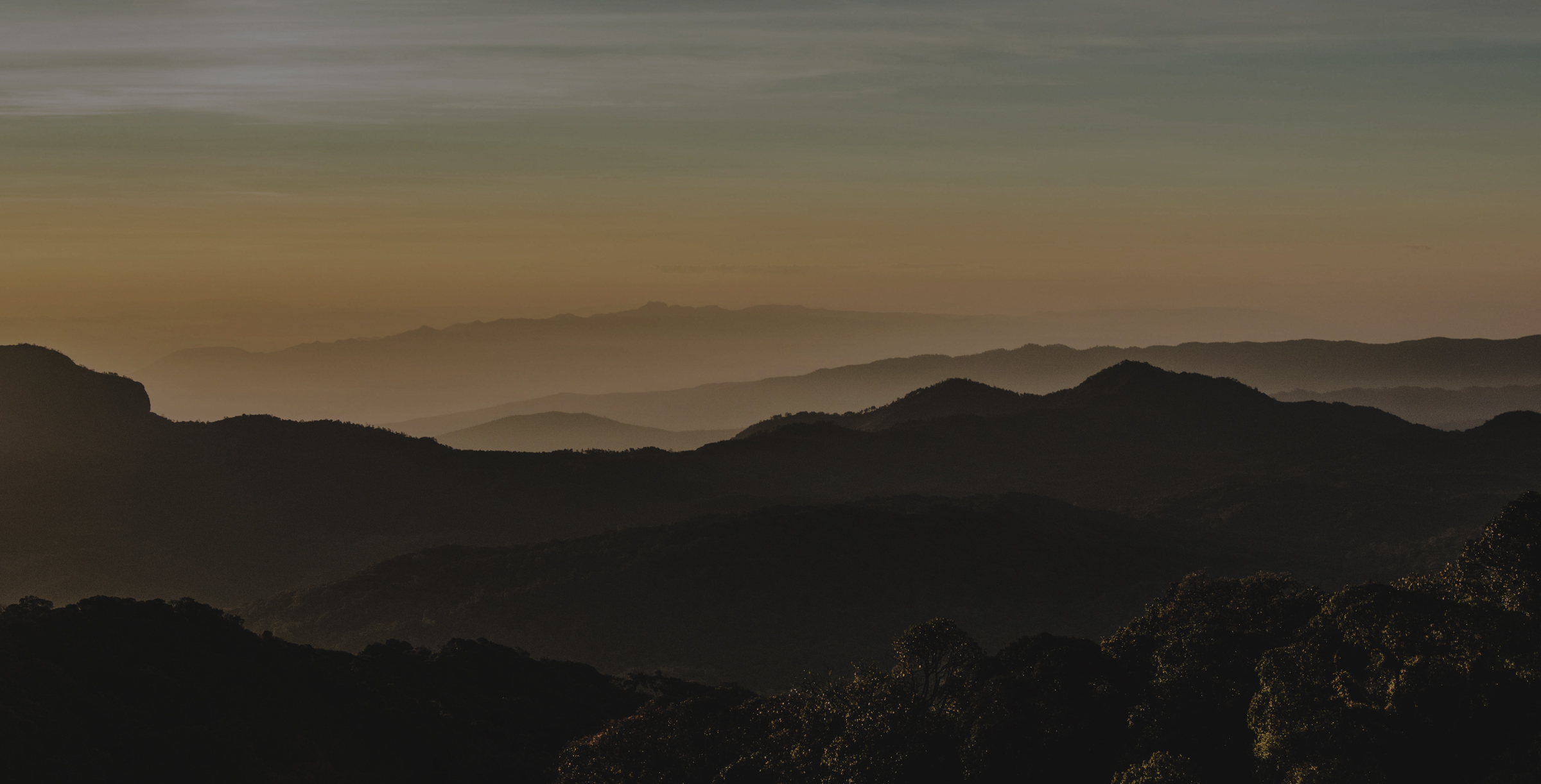 MANZ Hero Desktop (1)